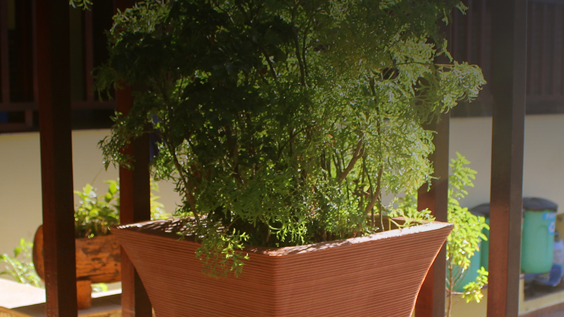 VASO DECOR PLANT. QUAD.